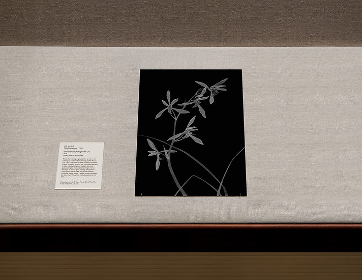 „,Chinesische Orchidee (Hommage an Ma Lin)’ im Metropolitan Museum of Art, New York 2014“, 2014|2018 &ndash; Ed. 1 von 3+1; 52,4 x 67,9 cm; Giclée-Druck auf Papier, Diasec