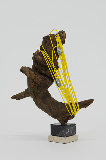 Beauty Trophy XXIX, 2024 &ndash; 30 x 18 x 40 cm;  Marmorsockel, Wurzel, Wäscheleine, Drahtseilklemmen; Foto: Annette Kradisch