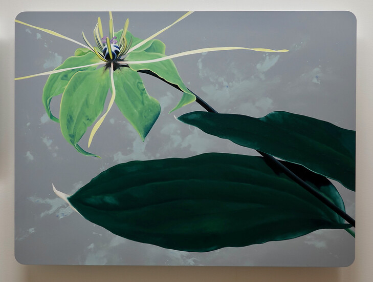 cw-0223-0, 2023 &ndash; 73x98x4,5 cm; Öl/Aluminiumschichtplatte; (Foto: Studio Christian Faul, 2023)