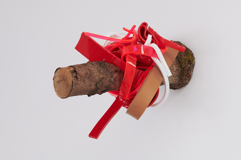 Wall Trunks VIII, 2024 &ndash; 26 x 36 x 28 cm; Holz, PU, Acrylglas; Foto: Annette Kradisch