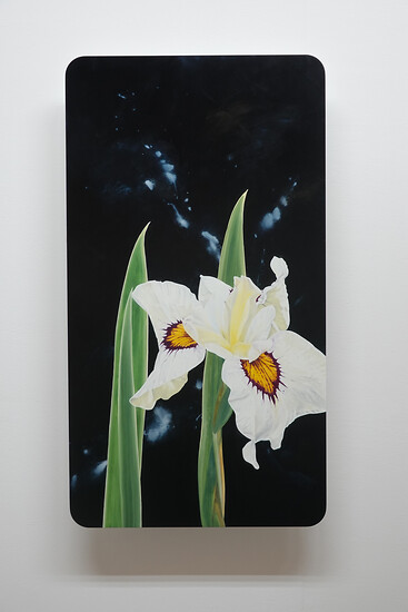 ps-0122-0, 2022 &ndash; 73x40x4,5 cm; Öl/Aluminiumschichtplatte; (Foto: Studio Christian Faul, 2023)