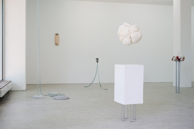Ausstellungsansicht; (Foto: Annette Kradisch)