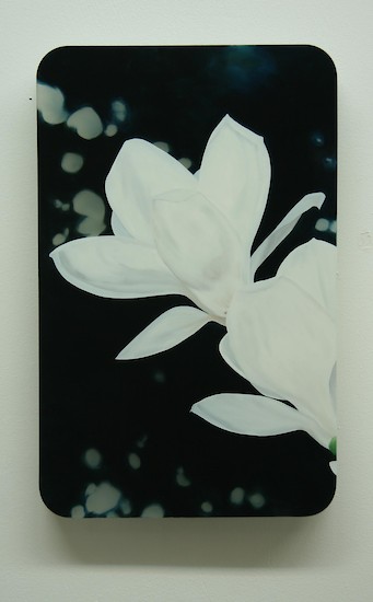 christian Faul, 82006 b-mg, 2005/2006 &ndash; 55 x 35 x 5 cm, Öl auf Acrylglas