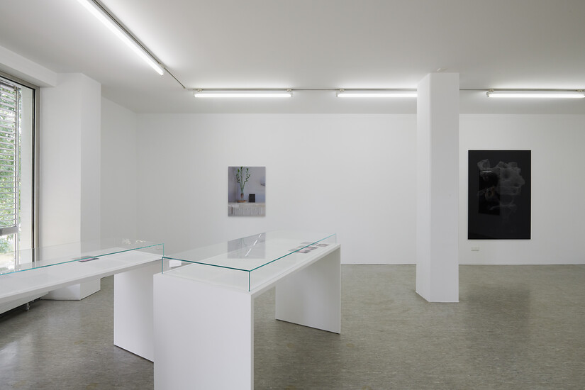 Ausstellungsansicht „Thilo Westermann - Souvenirs” &ndash; Foto: Annette Kradisch