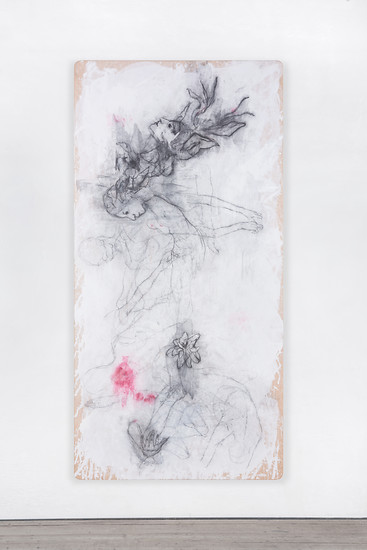 BOTANICALIRIOUS (Y17N02), 2017-2019 &ndash; 250 x 125 x 4 cm; Graphit, Pigment auf Purpurbuche; Foto: Jürgen Eheim