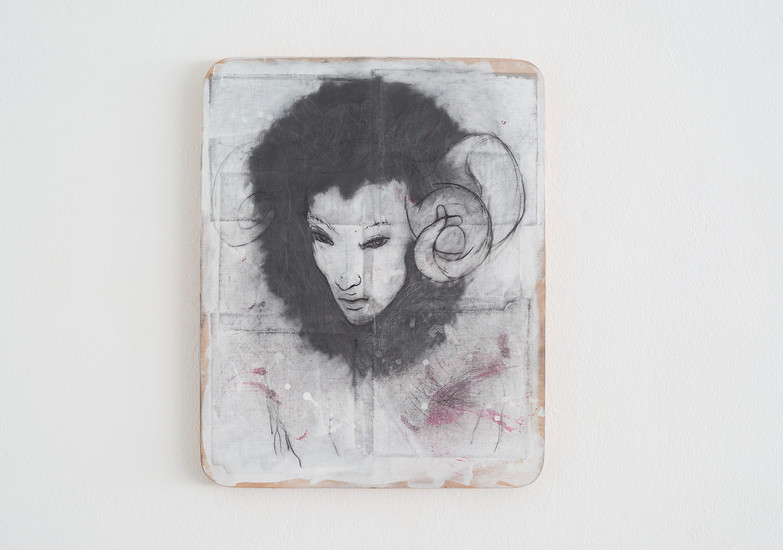 BOTANICALIRIOUS 050#030, 2018-2019 &ndash; 50 x 40 x 3 cm; Graphit, Pigment, Leinen auf Purpurbuche; Foto: Annette Kradisch