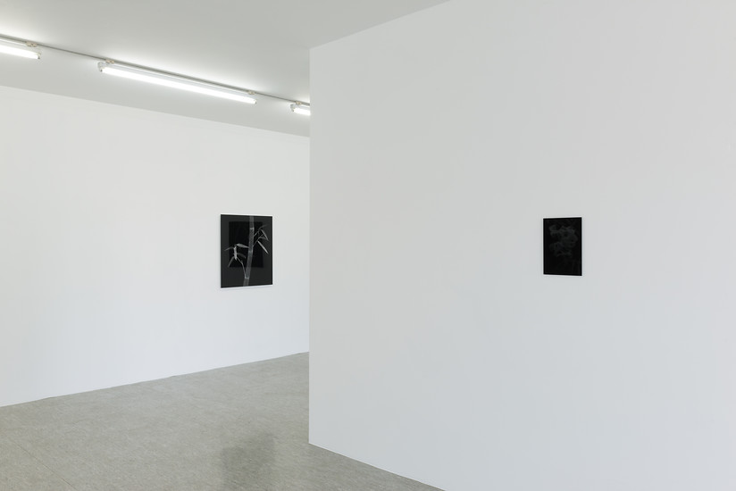 Foto: Annette Kradisch