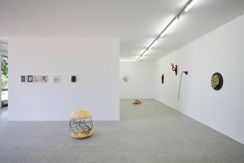 Ausstellungsansicht; (Foto: Annette Kradisch)