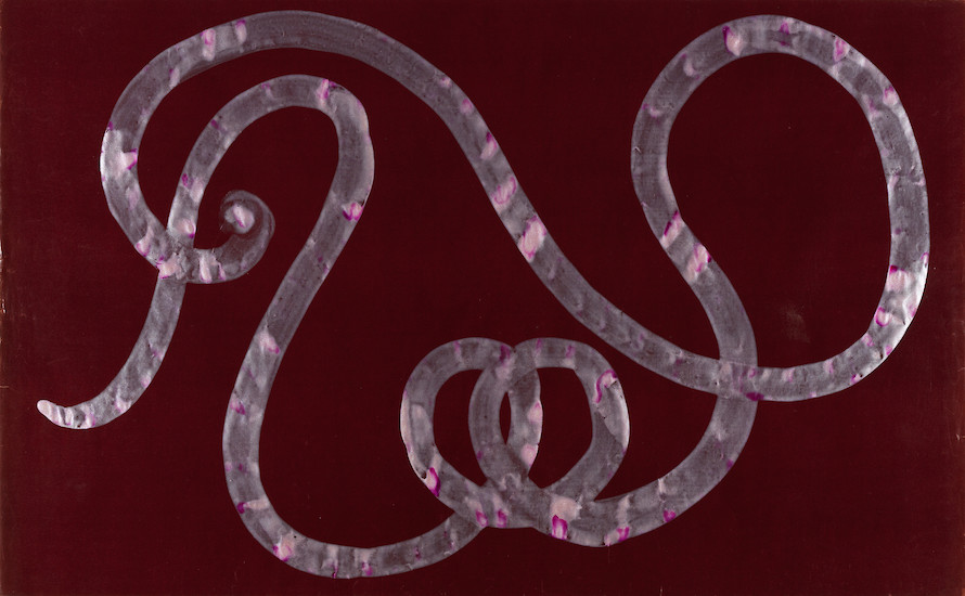 o. T. (Die geübte Hand weiß es oft viel besser als der Kopf) Blatt 12, 2017 &ndash; 43,2  x 76,2 cm; Tusche auf Papier