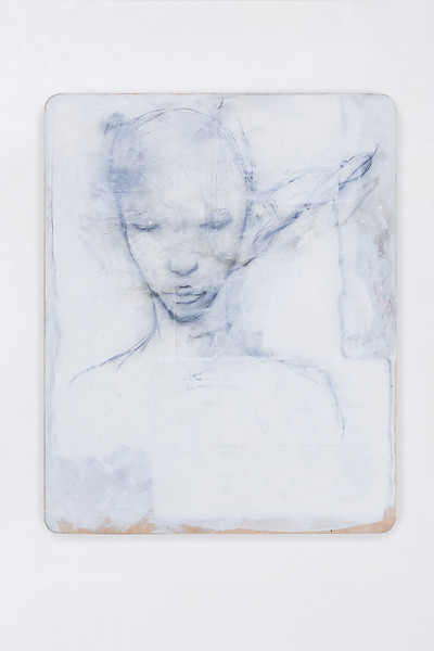 BOTANICALIRIOUS 100#039, 2017-2019 &ndash; 100 x 80 x 3 cm; Graphit, Pigment, Bütten auf Purpurbuche; Foto: Fotostudio Jürgen Eheim