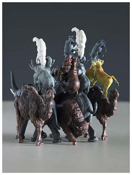 Michael Franz | Tobias Tragl, Ohne Titel (installation view) ed. 3, 2007/2019 &ndash; C-Print; 37 x 29,3 cm